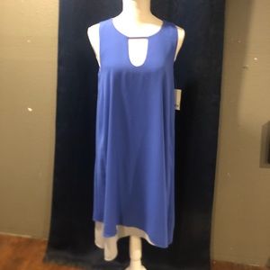 Cobalt Glaze Dress